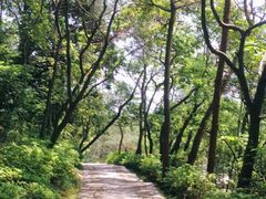 -溪口-滕头旅游景区