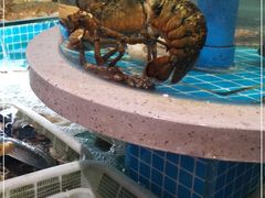 -大哈福烧烤·海鲜·家常菜(延安三路店)