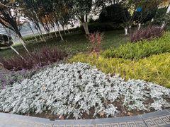 -宝岛公园