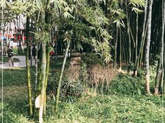-望江楼公园