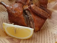 -泉龙渔村·粤式早茶·金牌烧鹅(中山三乡店)