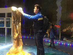 -诸城市恐龙博物馆