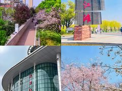 -大圣甲(汉口店)