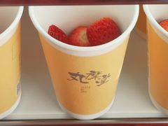 -丸摩堂鲜果茶(万年场店)