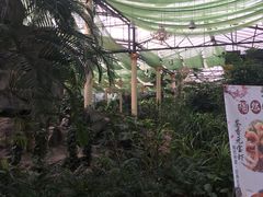-陶然居·重庆菜(生态园店)