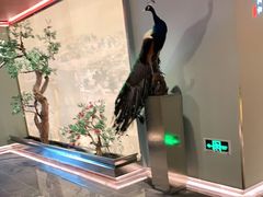 -俏江南天津时尚曲艺主题餐厅(马场道店)
