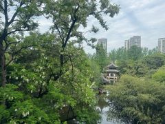 -水绘园