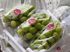 -马陆小张葡萄园农家乐