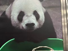 -动物园(地铁站)