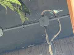 -草原塞蛮羊火锅城(港湾店)