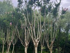 -中国湿地博物馆