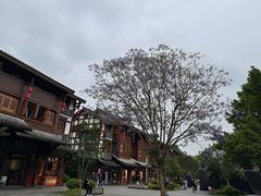 -磁器口古镇