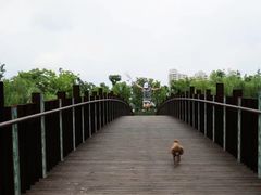 -南翔镇银翔湖公园