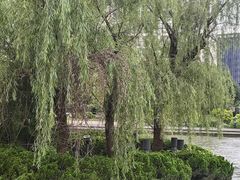 -苏州河梦清园环保主题公园