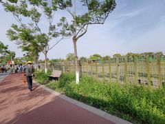 -上海长兴岛郊野公园