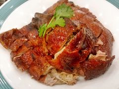 -椿记烧鹅(叠彩店)