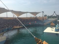 -秦皇岛乐岛海洋王国