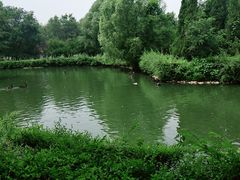 -长白岛森林公园