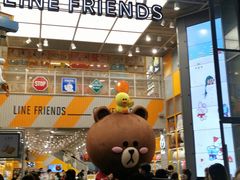 -line friends(明洞旗舰店)