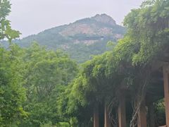 -石老人观光园
