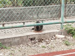 -南京理工大学紫金学院