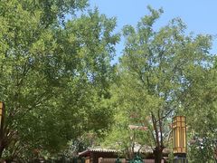 -郑州方特梦幻王国