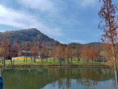 -千年银杏谷文化旅游区