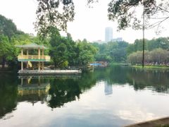 -晓港公园