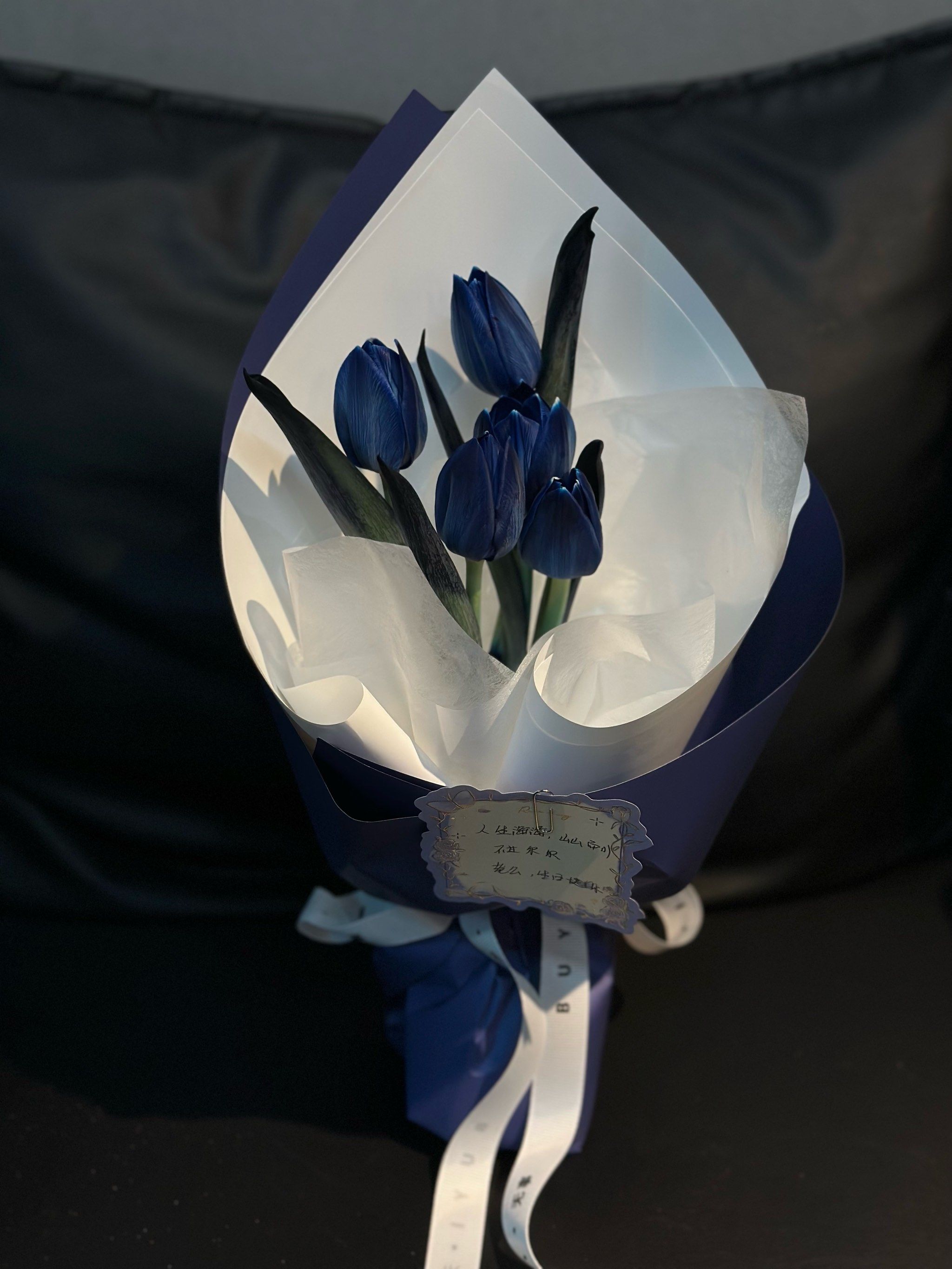 送给老公的墨尔本午夜蓝郁金香,太好看了吧