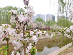-海棠花溪(元大都城垣遗址公园)