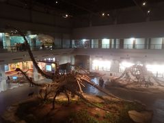 -自贡恐龙博物馆