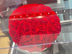 -ROSEONLY诺誓(广州K11店)