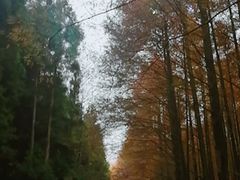 -山王坪喀斯特国家生态公园