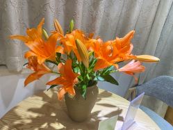 -悦尚生活空间•瑜伽普拉提•悦心芳香疗愈SPA