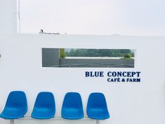 -Blue Concept Cafe&Farm·關於藍