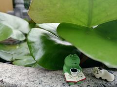 -满记甜品(湖滨店)