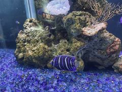 -海合安武汉极地海洋公园