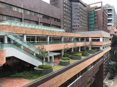 -香港大学