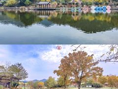 -黄陂区野村谷景区