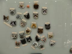-四月宠物医院·猫专科·心脏专科·内科(转塘店)