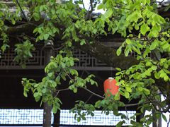 -大水川景区