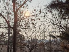 -莫子山公园