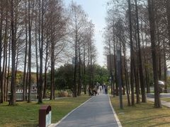 -四海公园(南山区)