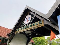 -上海海湾国家森林公园