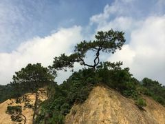 景点-牛仔谷漂流