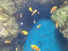 -福州罗源湾海洋世界旅游区