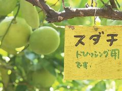 -学习谷日语培训日本留学·多语种外语教学(海淀人大分部)