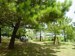 -首里荞麦面店