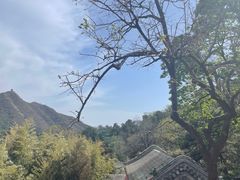 -潭柘寺景区