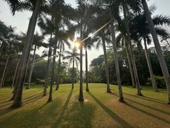 -中国科学院西双版纳热带植物园